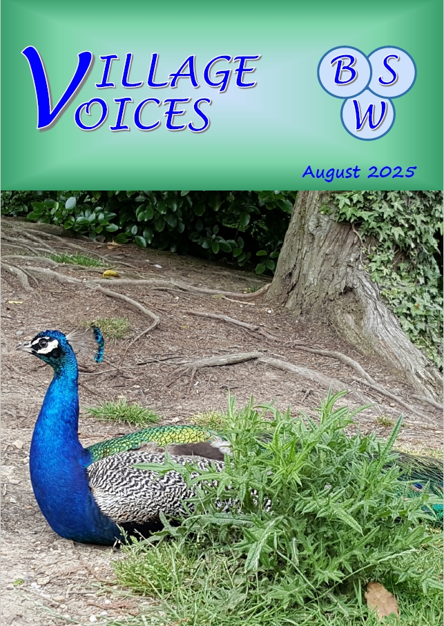 The Latest Magazine