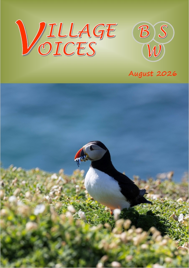 The Latest Magazine